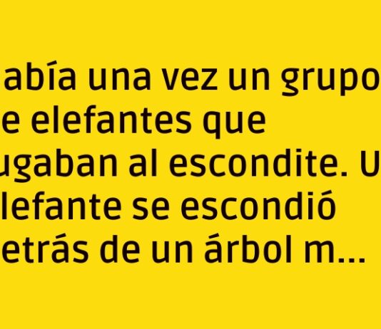 Orejas delatoras en el escondite elefantil