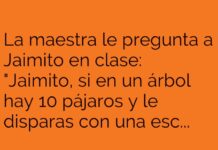 Pensamientos Fuera de lo Común entre Jaimito y la Maestra