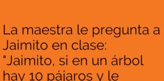 Pensamientos Fuera de lo Común entre Jaimito y la Maestra
