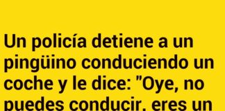 Permiso Especial para Conducir del Pingüino Agente Secreto