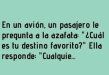 Piloto, cinturón y alas inquietas