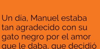 «Suerte reflejada en siete siestas»