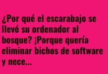 Tech-Aventura de un Escarabajo Codificador