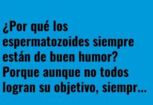 Trabajo en equipo con buen humor.