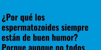 Trabajo en equipo con buen humor.