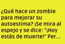 Zombie vanidoso y sus dilemas mortales