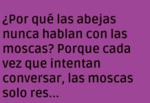 «Zumbidos y Basurales: Conversaciones Frustradas»