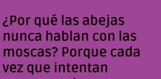 «Zumbidos y Basurales: Conversaciones Frustradas»