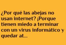 Abejas Offline por Miedo a los Virus