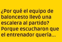 «¡Altos y bien equipados!»