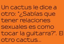 Amor con una pizca de púas