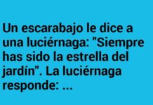 Brillando entre chismes nocturnos
