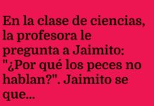 Burbujas Mensajeras de Jaimito