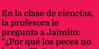 Burbujas Mensajeras de Jaimito