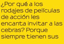 Cebras: las estrellas de acción del rodaje