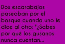 Chistes verdes entre escarabajos.