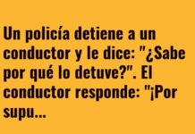 «Cliente frecuente de multas»