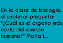 Confusión de Tamaños y Tiempos en Biología