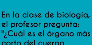Confusión de Tamaños y Tiempos en Biología