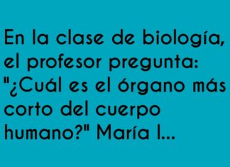 Confusión de Tamaños y Tiempos en Biología