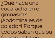 Cucaracha en el gimnasio: experta en resistencia