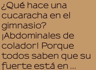 Cucaracha en el gimnasio: experta en resistencia