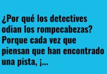 «Detectives y Piezas Perdidas»