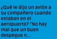 Diálogo de Alas: El Arte de Volar con Humor