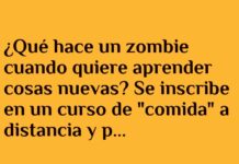 Educación a Distancia para Zombies: Cerebros Semanales con Garantía
