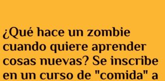 Educación a Distancia para Zombies: Cerebros Semanales con Garantía