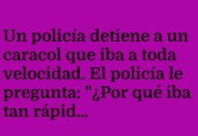El caracol veloz y la prisa digital