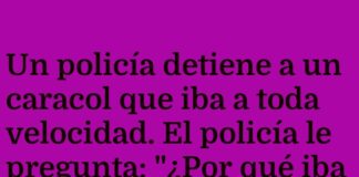 El caracol veloz y la prisa digital
