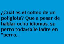 El colmo del políglota: el dilema del «perro básico»