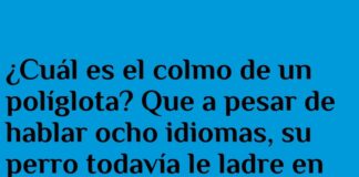 El colmo del políglota: el dilema del «perro básico»