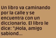 El Diccionario Sincero