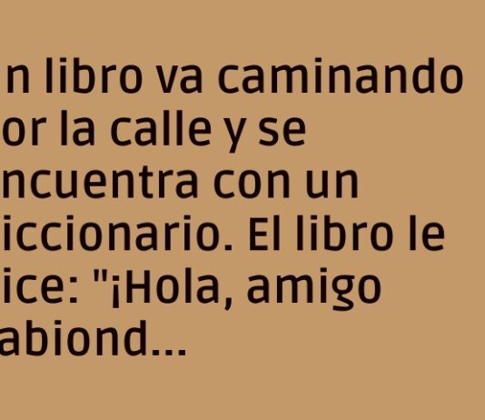El Diccionario Sincero