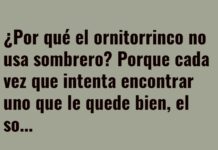 El dilema del sombrero del ornitorrinco