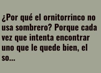 El dilema del sombrero del ornitorrinco