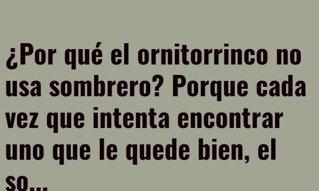 El dilema del sombrero del ornitorrinco