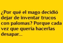 El dilema laboral del mago y su conejo abogado