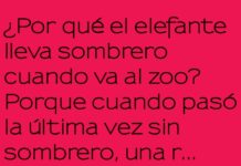 El Elefante Estrella Incógnito