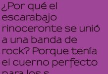 El Escarabajo Rockero: Cuernos, Riffs y Cartón