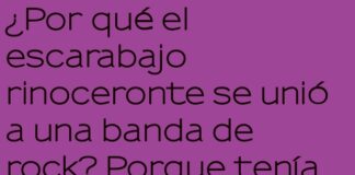 El Escarabajo Rockero: Cuernos, Riffs y Cartón
