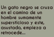 «El Gato Precavido y el Humano Supersticioso»