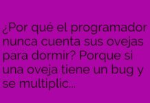 «El insomnio del programador ovino»