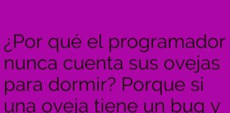 «El insomnio del programador ovino»