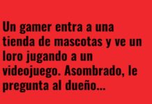 El loro gamer que nunca perdona