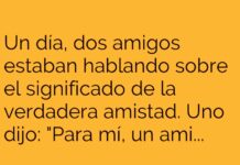 El Mejor Amigo Conocedor de Ducha