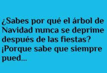 El optimismo del árbol de Navidad