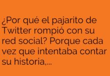 El Pajarito en Busca de Libertad Zen.
